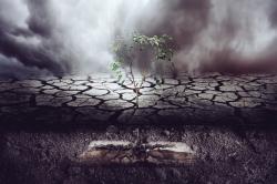 5 замечательных постапокалиптических книг