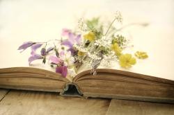 5 интересных книг, которые никого не оставят равнодушными