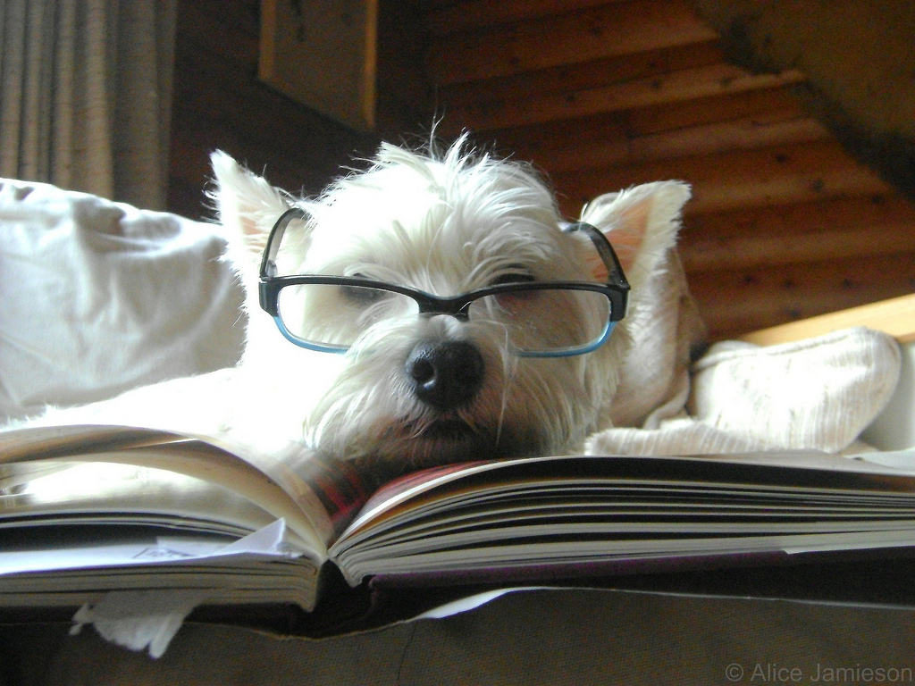 5 лучших книг о животных
