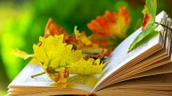 5 самых интересных книг о первой любви