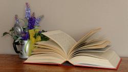 Интеллектуальные бестселлеры! 5 самых интересных книг