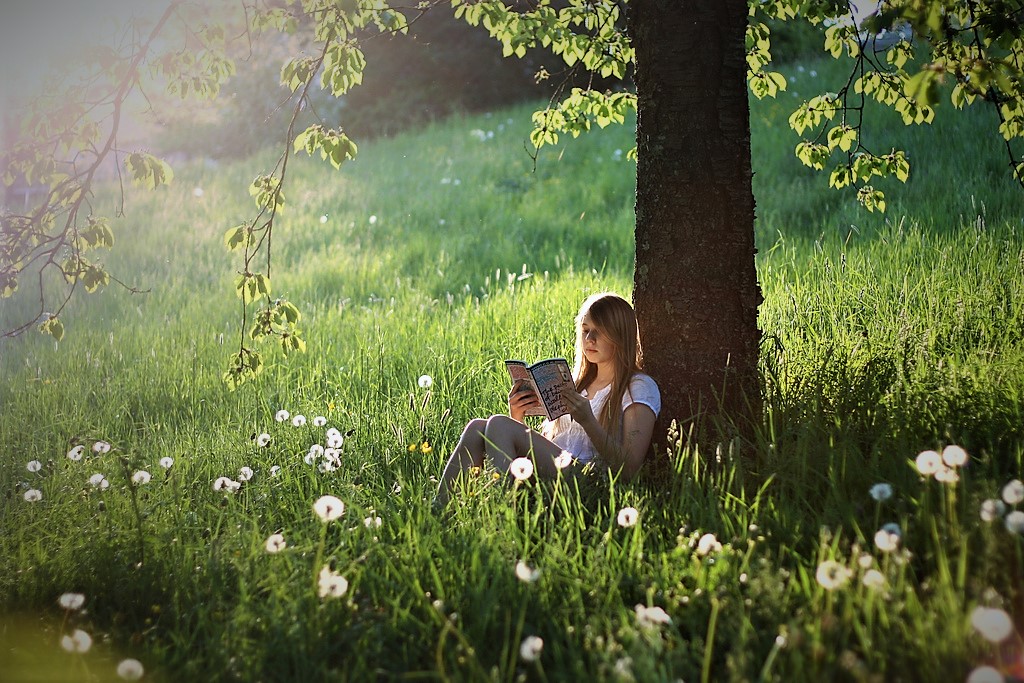 5 лёгких книг, которые стоит прочитать в ближайшие выходные
