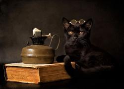Что почитать? 5 детективных книг с «чёрным юмором»