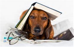 9 интересных фактов о книгах