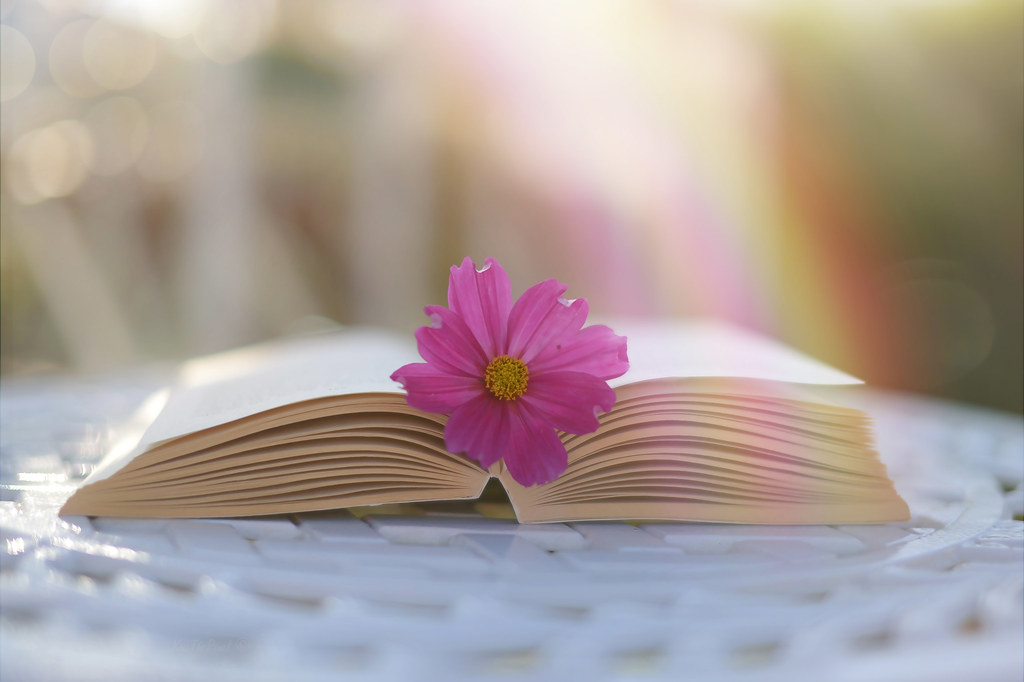 Книжные новинки, которые ждут своего читателя